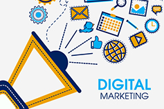 الأخصائي المعتمد في التسويق الرقمي :DMI Pro